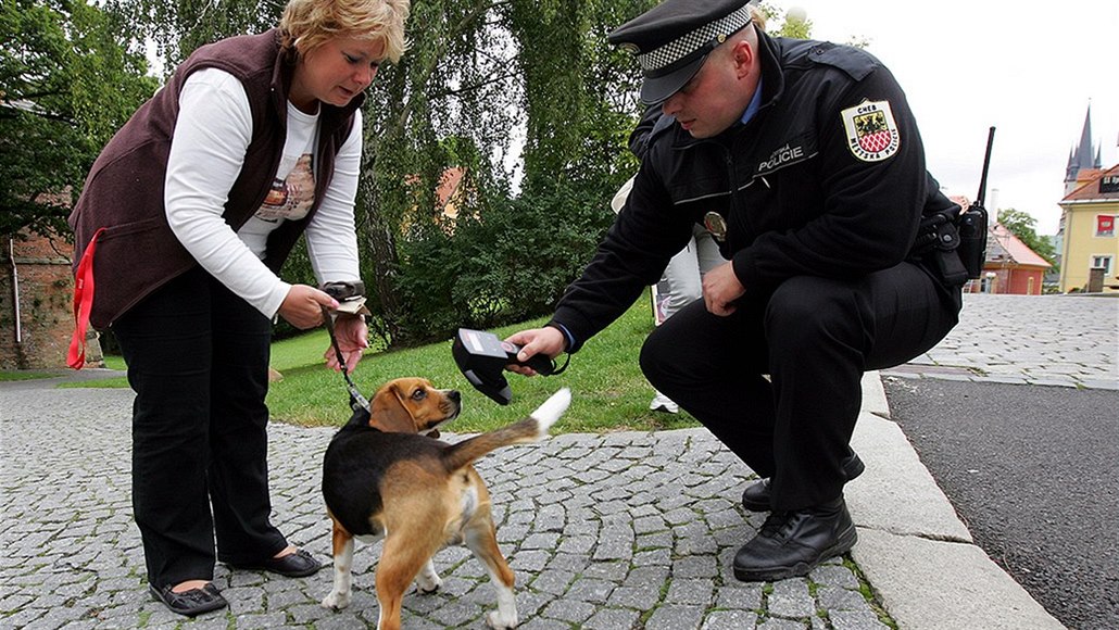 Strážník zjišťuje, zda je pes označen čipem.