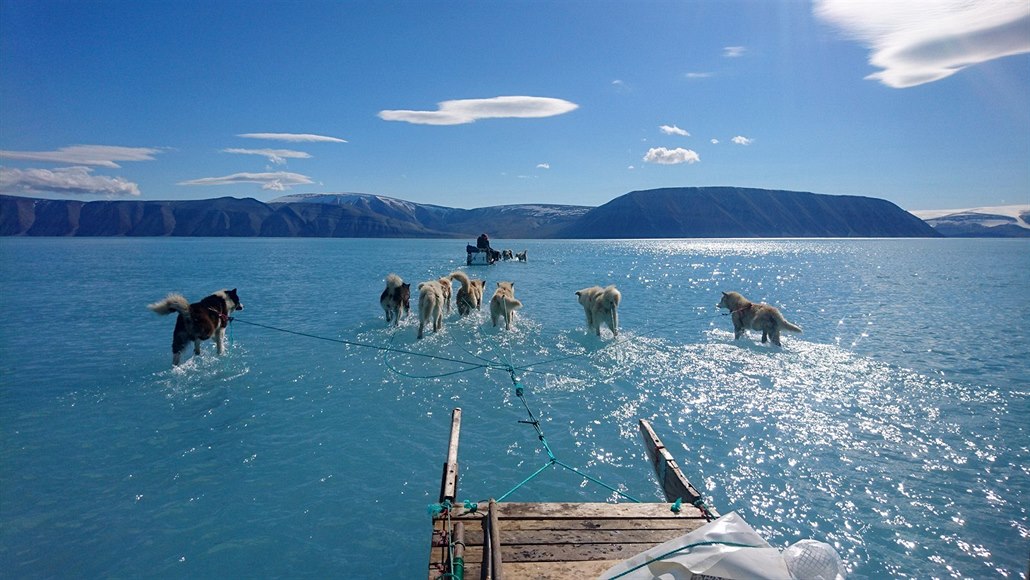 Tým vědců působících v Grónsku zveřejnil snímek, na kterém se psí spřežení...