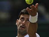Srbsk tenista Novak Djokovi bhem tvrtfinle Wimbledonu, ve kterm se...
