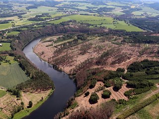 Zdevastované lesy v okolí Želivky. Tmavou barvu mají usychající borovice.