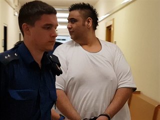 Ústecký krajský soud začne brzy řešit rozsáhlý případ vykořisťování