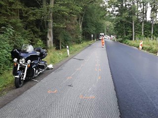 Zvíře od střetu uteklo, spolujezdkyni motorkáře převezli záchranáři do...