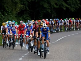Peloton bhem sedm etapy Tour de France.