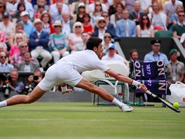 Srb Novak Djokovi se natahuje po balonu bhem finle Wimbledonu.