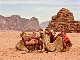 Wadi Rum odedávna patří beduínům. Ti se o něj dnes dělí stále častěji...
