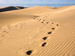 Duny u letoviska Maspalomas