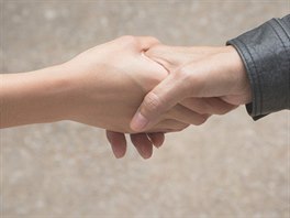 Podání ruky