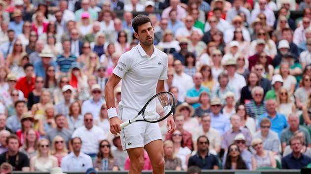 Srb Novak Djokovi bhem finle Wimbledonu.