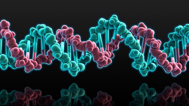 Molekula DNA