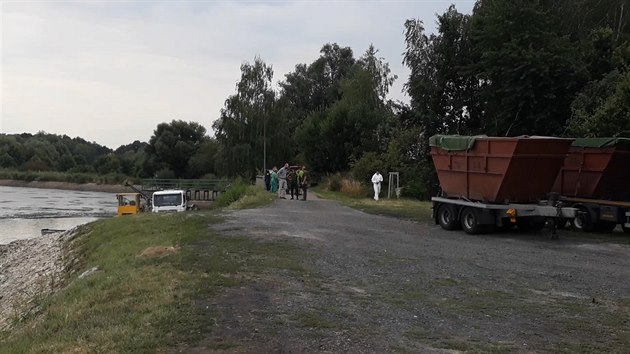Rybáři na Buňkově opět likvidovali ryby zasažené herpes virem. (19. července 2019)