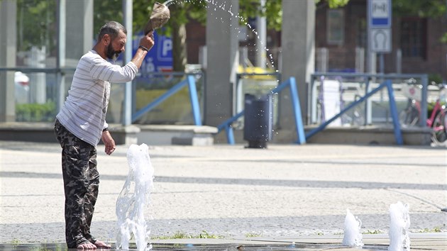 Lid i ptci v rozplen Olomouci hledali osven. (lto 2019)