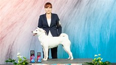 Chovatelka Nikola Navrátilová má se svými psy adu výstavních ocenní.