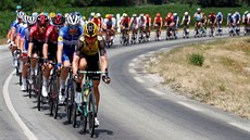 Peloton bhem sedmé etapy Tour de France.