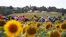 Peloton bhem 11. etapy Tour de France.