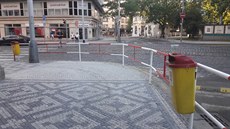 Na snímku jsou �ty�i ko�e.