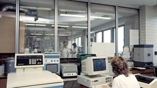 Výzkumné pracovit v závod Agrogen (JZD Sluovice) na snímku z ervence 1989.