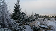 Ledové království. Pokud zamrzne, na jezírku se bruslí. (Les na okraji Pardubic)