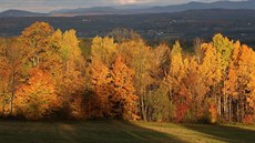 Lesy amerického státu Vermont