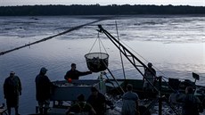 Rybái na Bukov opt likvidovali ryby zasaené herpes virem. (19. ervence...