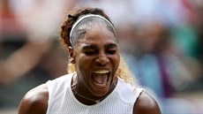 Serena Williamsová v semifinále Wimbledonu.