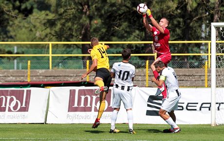 Hradecký branká Patrik Vízek zasahuje v utkání proti Sokolovu.