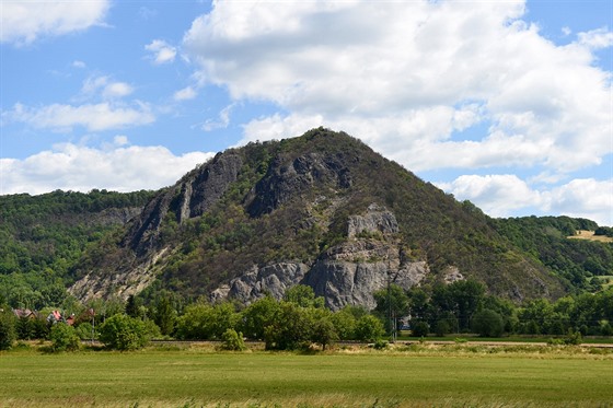 Kopec Kozí vrch poblíž Ústí nad Labem je jednou z lokalit, kde ve velkém...