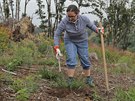Dobrovoln�ci vysazovali b��zy na holin�ch v okol� M�sta Albrechtice v podh���...