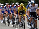 Francouzský cyklista Julian Alaphilippe (ve lutém) bhem 17. etapy Tour de...