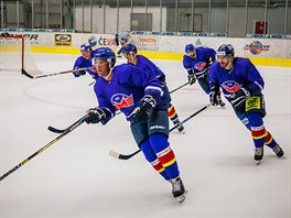 Prvoligov hokejov Motor esk Budjovice v pondl poprv vyjel na led.