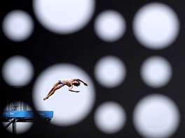 SALTO. Zlatý medailista Gary Hunt z Velké Británie skáe z mstku pi souti...