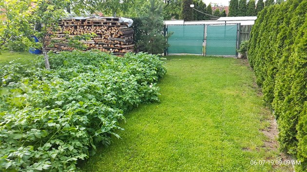 Na zahradě se našlo místo i pro pěstování vlastních brambor. 