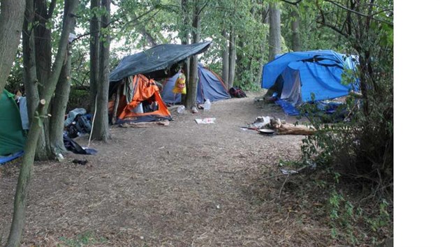 Policejn akce s krycm nzvem Palice (22. ervence 2019).