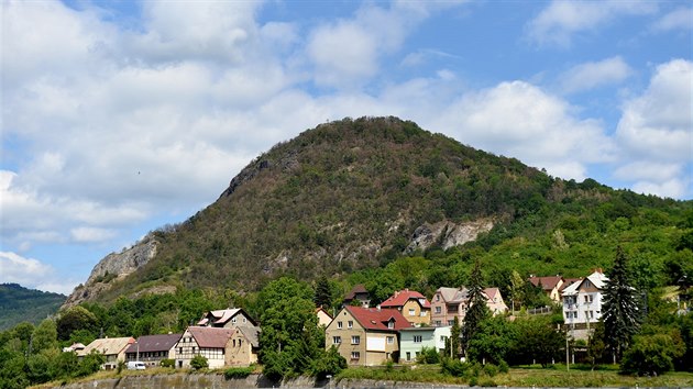 Kopec Kozí vrch poblíž Ústí nad Labem je jednou z lokalit, kde ve velkém usychají stromy.