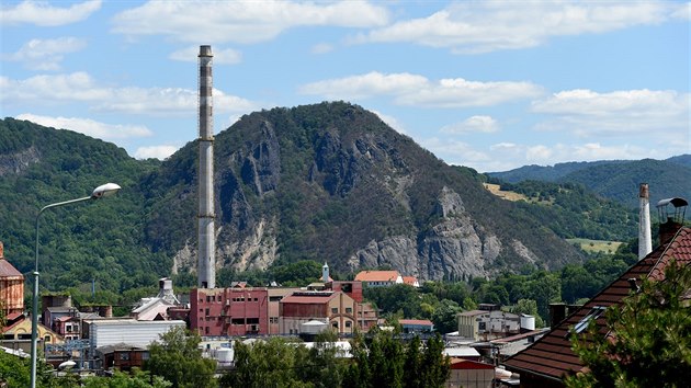 Kopec Koz vrch pobl st nad Labem je jednou z lokalit, kde ve velkm usychaj stromy.