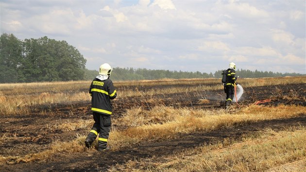 Hasii v nedli zasahovali  v Lesnch Albrechticch na Opavsku, kde hoelo pole o rozloze 14 hektar. (28. ervence 2019)