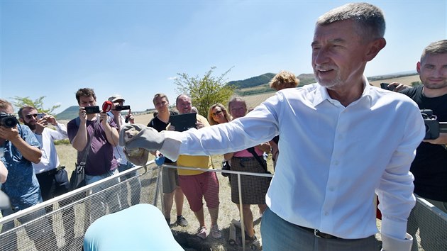 Premiér Andrej Babiš společně s ministrem životního prostředí Richardem Brabcem při návštěvě Ústeckého kraje vypustili do volné přírody několik desítek syslů.