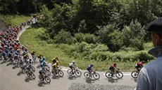 Peloton stoupá tratí 14. etapy Tour de France.