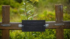 Haba a Hübner�v k�í� p�ipomínají smrt dvou skaut�, které zast�elili p�íslu�níci...