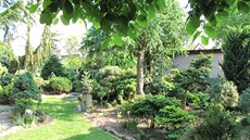 Procházka jako po jehli�natém lese... 