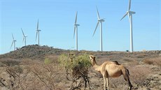 Vtrný park u jezera Turkana