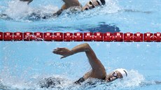 Barbora Seemanová (dole) v rozplavbě na 400 metrů volný způsob na světovém...