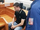 Obalovan Pavel Chlubna ped soudem. (31. ervence 2019)