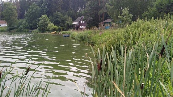 Rybník Kachlika