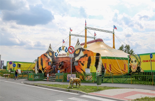 Žádný zloděj poutačů do cirkusu, černý výlep odstranila městská část