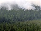 Sibiská tajga hoí na ploe tí milion hektar. (29. ervence 2019)