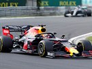 Max Verstappen z týmu Red Bull usiluje o co nejlepí výsledek na Velké cen...