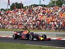 Po vítzství v kvalifikaci usiluje Max Verstappen z Red Bullu o triumf také v...