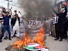 Pákistánci protestují proti zruení zvlátního statusu Kamíru, pálí podobiznu...