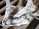 Kostry obtí genocidy ve Rwand v památníku Murambi Genocide Memorial Centre