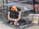 Dvka se zavela do klece na protest proti zachzen se slepicemi